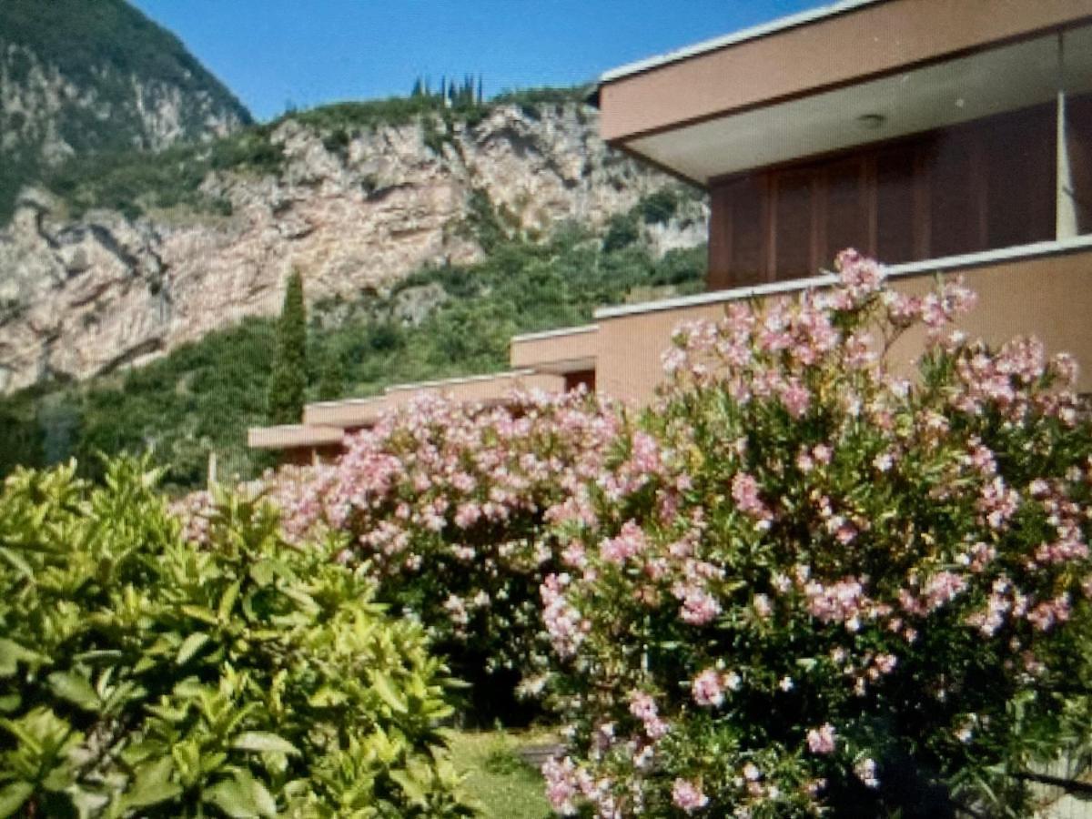 Appartamento Peppino Mit Seeblick Und Pool Riva del Garda Buitenkant foto